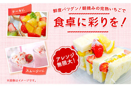 いちご 毬姫様 イチゴ まりひめさま 約450g みはらファーム