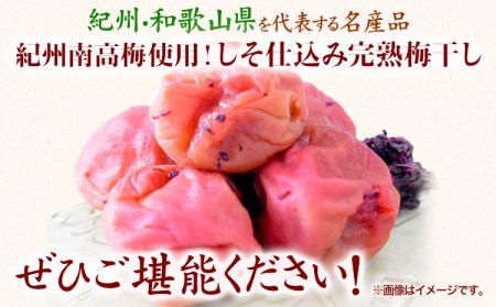 紀州南高梅 しそ仕込み完熟梅干し 無選別 1kg 梅