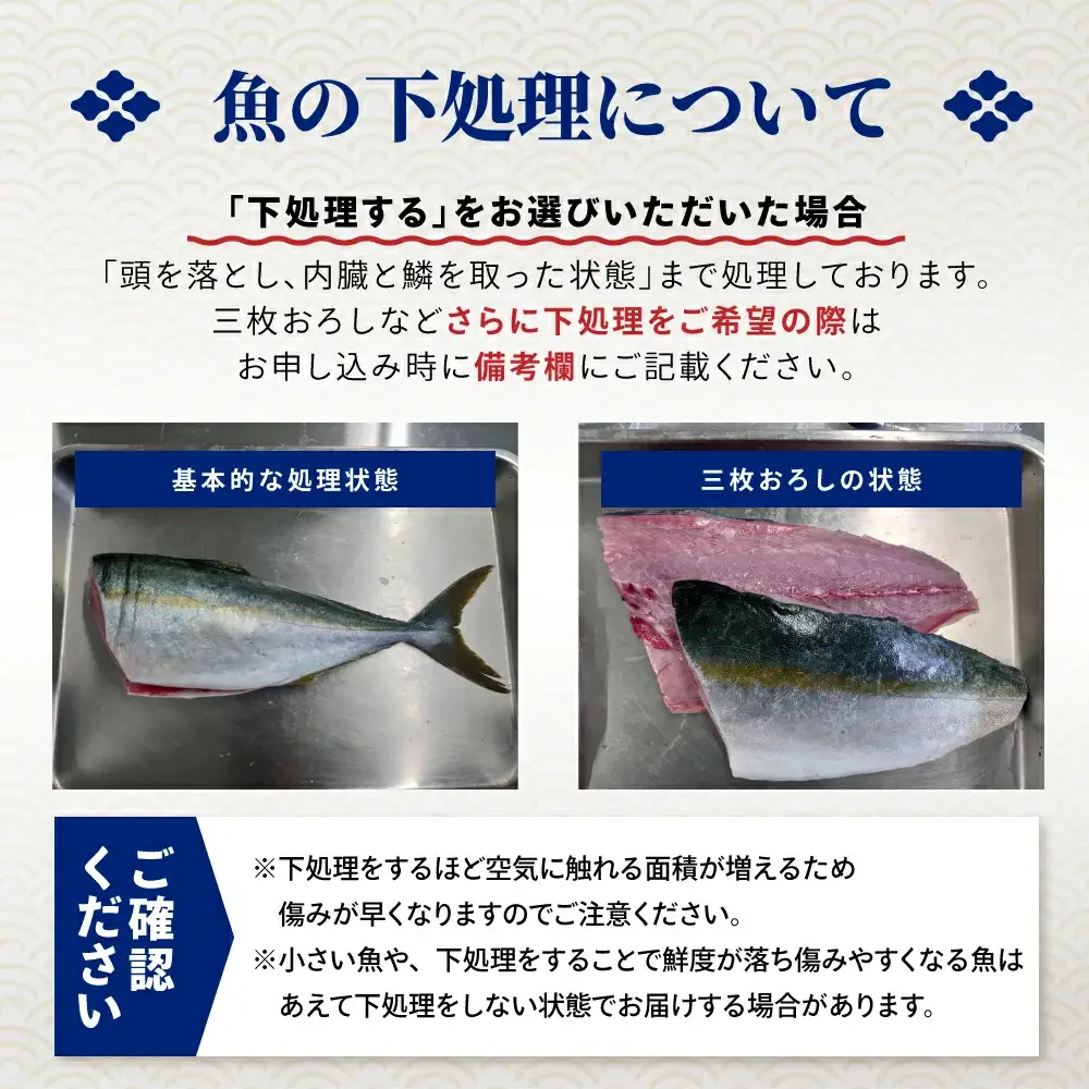 鮮魚セット(1～2人用) 下処理済み 朝獲れ直送 三陸 旬 冷蔵 刺身 海藻 貝 鮮魚 お魚