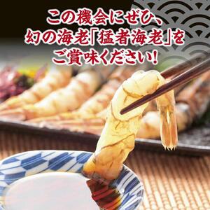 猛者海老 15匹×3パックセット【山根商店】