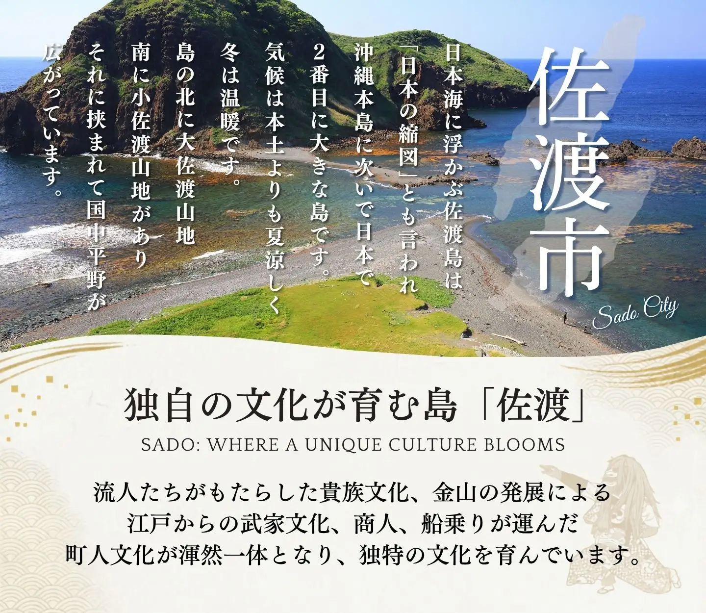 干物イカ 佐渡産 2枚入 2袋 干物