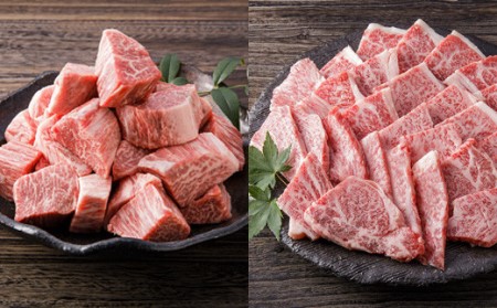 伊万里牛美味プレミアム 定期便  10回便 ヒレ ステーキ 焼肉 すき焼き しゃぶしゃぶ 999-J620