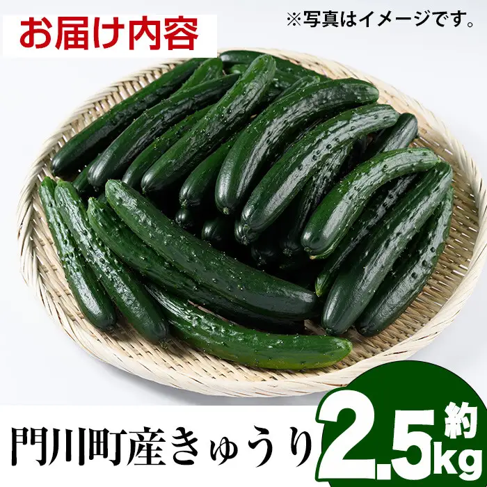 宮崎県産きゅうり(2.5kg)野菜 冷蔵【NS-2】【中澤農園】
