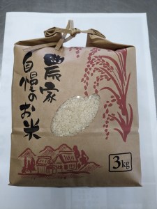 【令和7年度米】白州米 亀の尾『白米』3kg [h208]