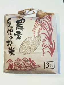 【令和7年度米】白州米 亀の尾『玄米』3kg [h208]