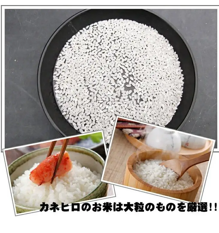 川越でとれたお米　10kg ／ 白米 埼玉県 こしひかり 彩のきずな主体のブレンド米