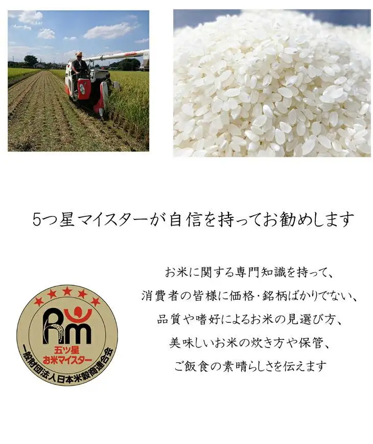 【彩のきずな】10kg ／ お米 白米 埼玉県