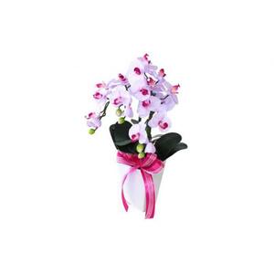 01 造花 シルクフラワーのミディ胡蝶蘭の鉢植 3本立 CT触媒 ライトパープル ／ お花 コチョウラン 埼玉県