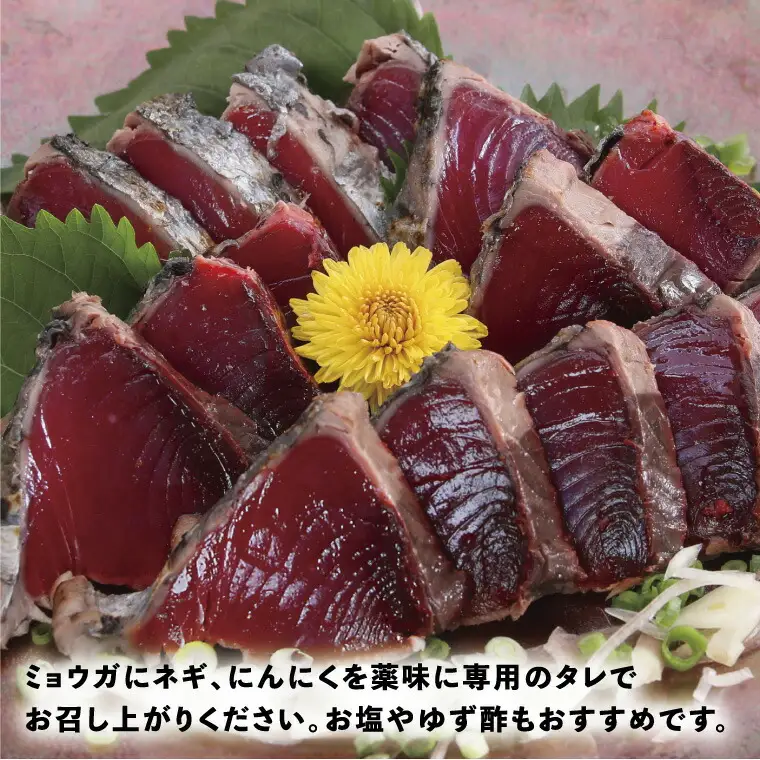 ナカイチ厳選！カツオたたきと干物セットB