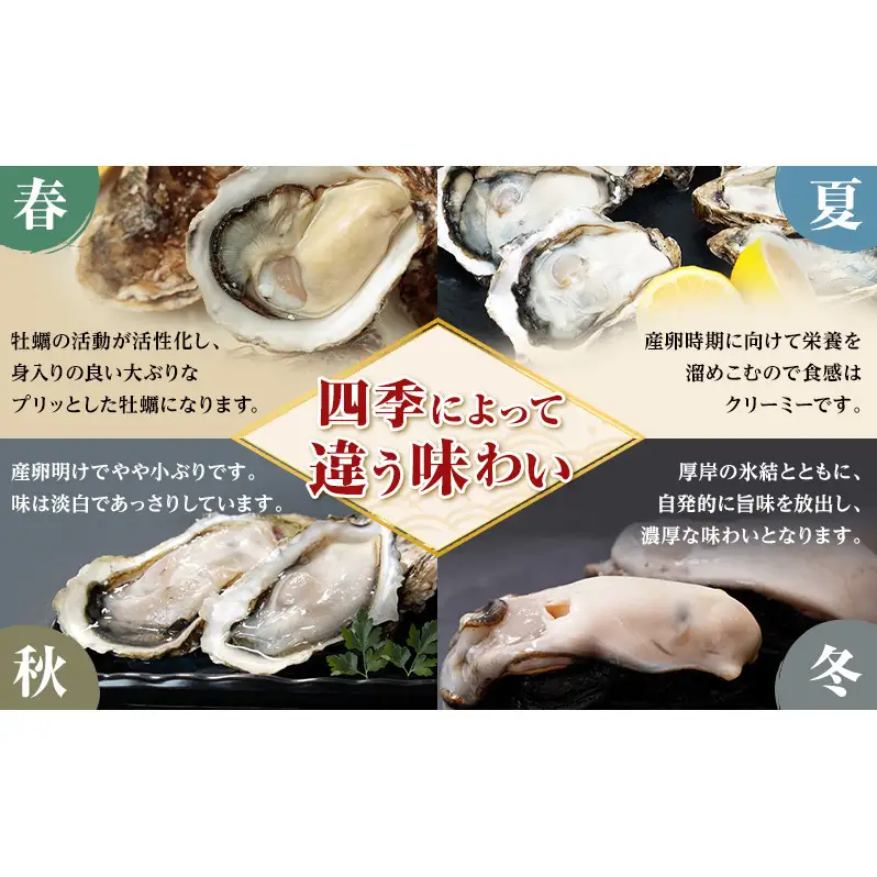 4月配送 訳あり ハーフ 規格外 牡蠣 北海道厚岸産 殻付カキ 約2kg（11～25個）カキナイフ付 生食 魚貝類 生牡蠣 かき 生カキ カキフライ マルえもん いびつな形 四季によって違う味わい コクがあり濃厚