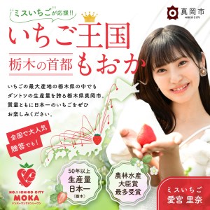 純米大吟醸 下野杜氏・辻寛之 720ml