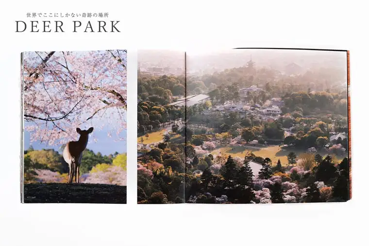 奈良の鹿 写真集「DEER PARK 世界でここにしかない奇跡の場所」奈良公園 サイン入り KAZUTO PHOTO OFFICE 佐藤和斗 I-193