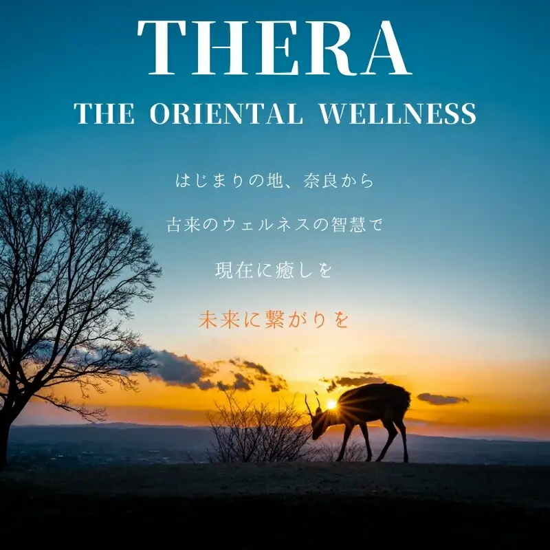 お香 白檀 THERA テラ 香木白檀 線香 香木 香り上品 白檀 希少 癒し I-227