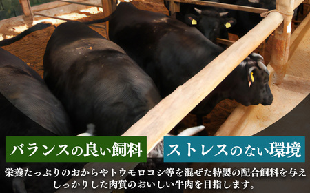 小分け 国産牛 こまぎれ 1200g ( 300g x 4 ) ｜ブランド牛 和牛 金井畜産