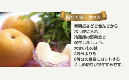 新高梨 大玉 約4kg | フルーツ 果物 くだもの 梨 なし ナシ 奈良県 五條市