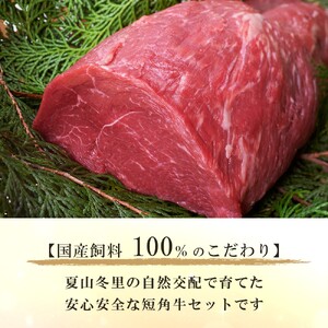山形村短角牛精肉３種 計900g｜焼肉 牛肉