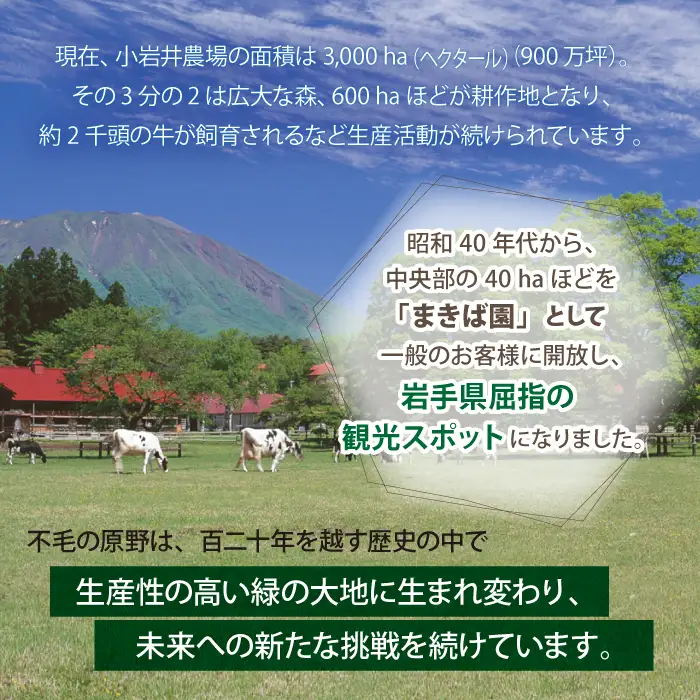小岩井農場 小岩井純良バター 復刻版ラベル 3個 セット ／ 人気 バター 醗酵バター 本格派 ヨーロッパタイプ 限定品 限定ラベル 乳製品 個包装 小分け お取り寄せ ギフト プチギフト 贈答用 贈り物 プレゼント お祝い パーティー お土産 手土産 誕生日 記念日 冷蔵 おすすめ