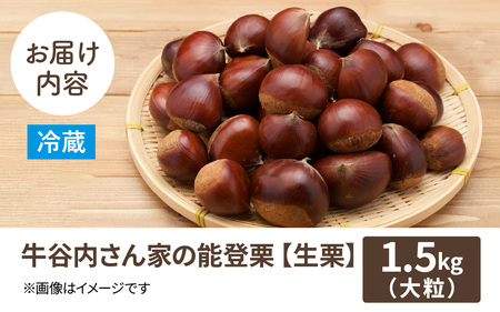 【先行予約】牛谷内農園 の 能登栗（大粒）1.5㎏ / 栗 