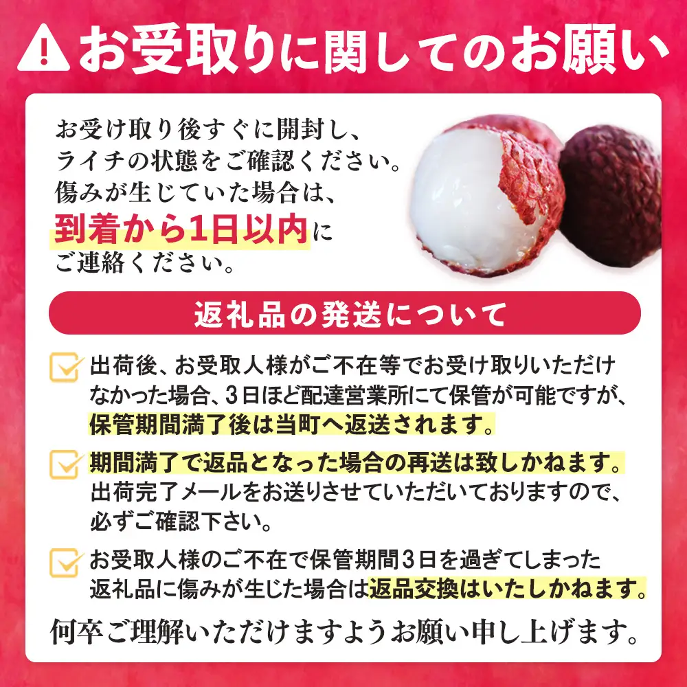 【期間限定 数量限定】佐賀県産ライチ 600g(贈答用) K060011