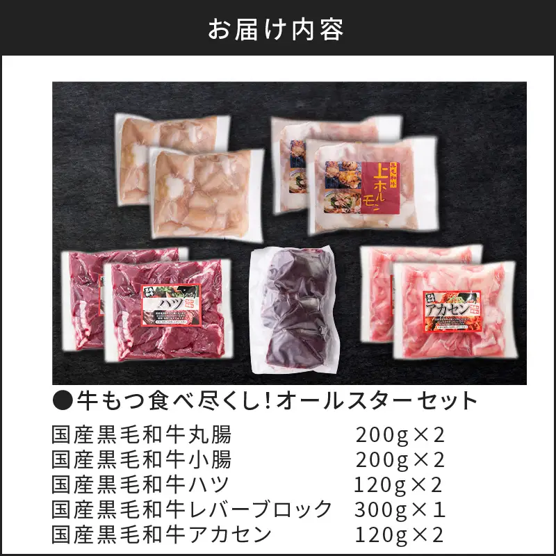 牛 もつ （ ホルモン ） 食べ尽くし ！ オールスター セット K002-008 肉 牛肉 冷凍