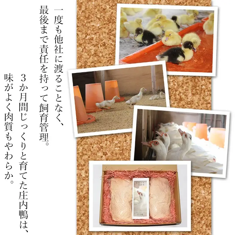 庄内鴨モモ肉　1.2㎏（約600g×2パック）　三井農場