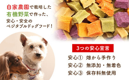 わんこの山形のお米チップス《ミックス》お試しパック 30g×6 ＋ わんこのサラダ《ミックス》お試しパック 50g×8 『Dog Garage (ドッグガレージ)』 山形県 南陽市 [1826]