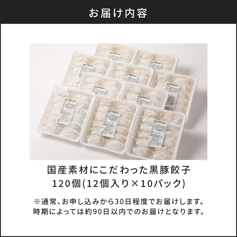 国産素材にこだわった黒豚餃子120個 K111-015 肉 豚肉 惣菜 総菜 冷凍