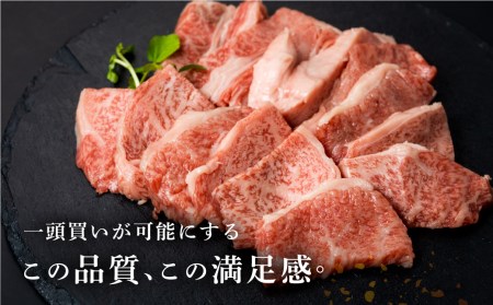 飛騨牛 霜降り／赤身 焼き肉 計1kg 飛騨牛 [EN023]