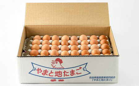 さかもと養鶏の白鳳卵：80個入り  | 卵 たまご 玉子 タマゴ 生たまご 生卵 白鳳卵 奈良県 五條市
