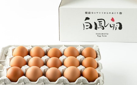 さかもと養鶏の白鳳卵：30個入り  | 卵 たまご 玉子 タマゴ 生たまご 生卵 白鳳卵 奈良県 五條市