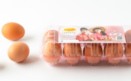 さかもと養鶏の白鳳卵：プラパック10個入り×4P | 卵 たまご 玉子 タマゴ 生たまご 生卵 白鳳卵 奈良県 五條市
