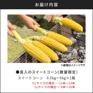 喜入のスイートコーン 4.5kg～5kg K141-003