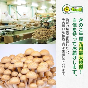 エノキムチセット（180g×6パック）　AT01