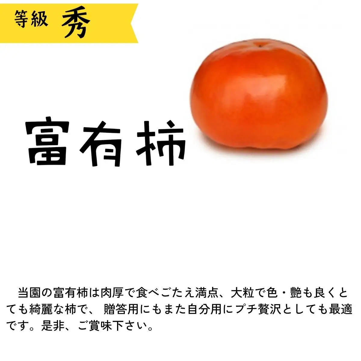 ＜先行受付＞ 富有柿 約4kg 大玉(15玉)【2026年11月上旬以降順次発送】| 柿