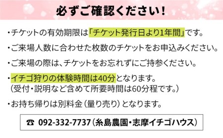 【志摩イチゴハウス】いちご狩り チケット （ 小学生 1名様 分 ） 糸島市 / 株式会社 糸島農園 [APM002]