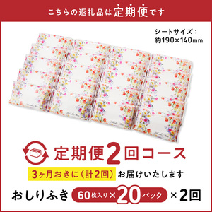 【２回定期便】おしりふき 20パック（60枚入り）厚手の凸凹シート使用！[056T04-T]