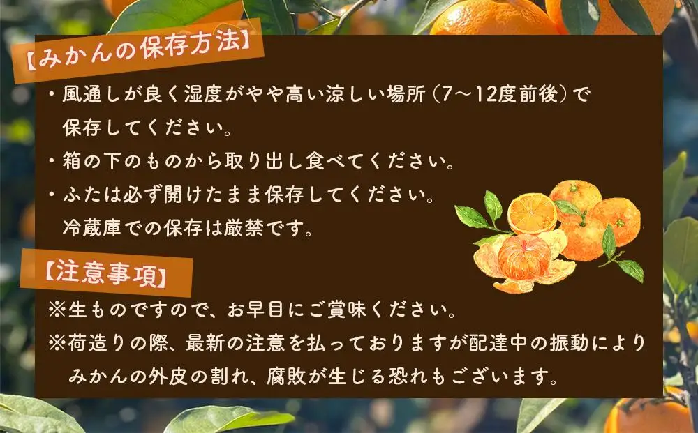 【先行受付】 武内園 和歌山県産 有田みかん 特選 秀品 5kg   完熟 光センサー