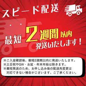 麗人 諏訪浪漫ビール 3種24缶セット / 麗人酒造 諏訪五蔵 日本酒 信州 長野県 諏訪市 諏訪 [37-09]
