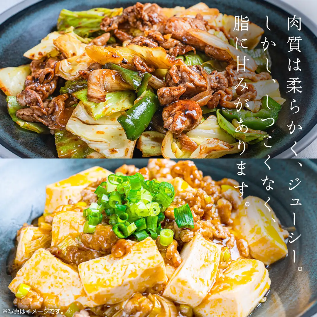 美明豚 切り落とし 1kg & 挽肉 1kg　計 2kg【茨城県共通返礼品 行方市】 豚肉 国産 銘柄 お手頃 グルメ 茨城県 料理 お肉 肉 豚 ひき肉 ミンチ ミンチ肉 豚こま 豚こま切れ 小間切れ こま切れ ブランド豚 冷凍 小分け [CV003sa]