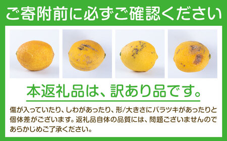 訳あり 国産レモン 約5kg (サイズ混合)  