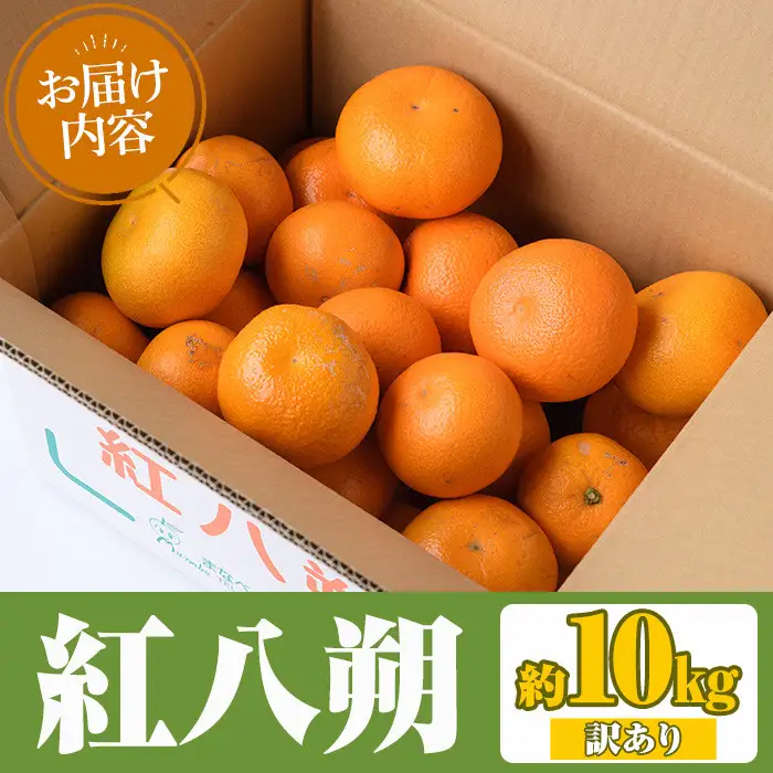 ＜先行予約受付中！2027年2月上旬以降順次発送予定＞訳あり！まなべみかん園の紅八朔(約10kg) 国産 鹿児島県産 阿久根市産 柑橘類 みかん 蜜柑 果物 ミカン デザート フルーツ 数量限定 期間限定 ご自宅用 ご家庭用【有限会社まなべみかん園】akn034-03