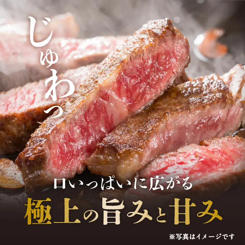 【全3回】黒毛和牛ステーキ3部位食べ比べ K098-T02 肉 牛肉 冷凍