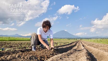 野菜詰合せ 佐々木ファーム 自然栽培 北海道産 野菜詰合せ【7〜10品目】
