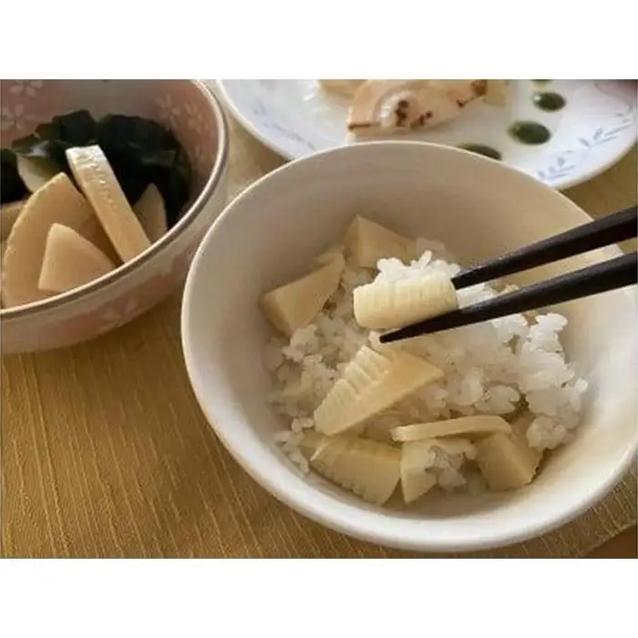 ＜先行予約／令和9年(2027年)３月下旬頃から発送＞貝塚市木積産　幻の朝掘り白子筍