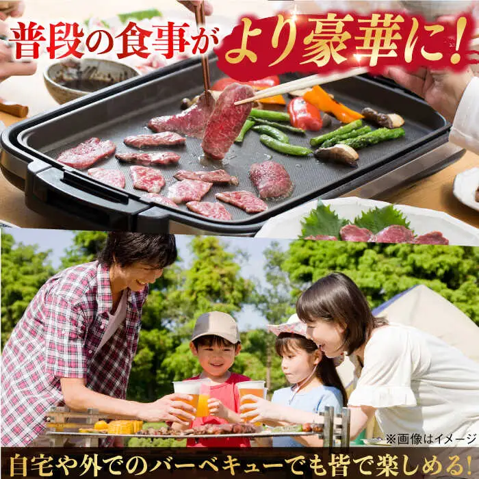 【全6回定期便】ランプステーキ 2枚 300g【野中精肉店】[VF17] ランプステーキ 定期便