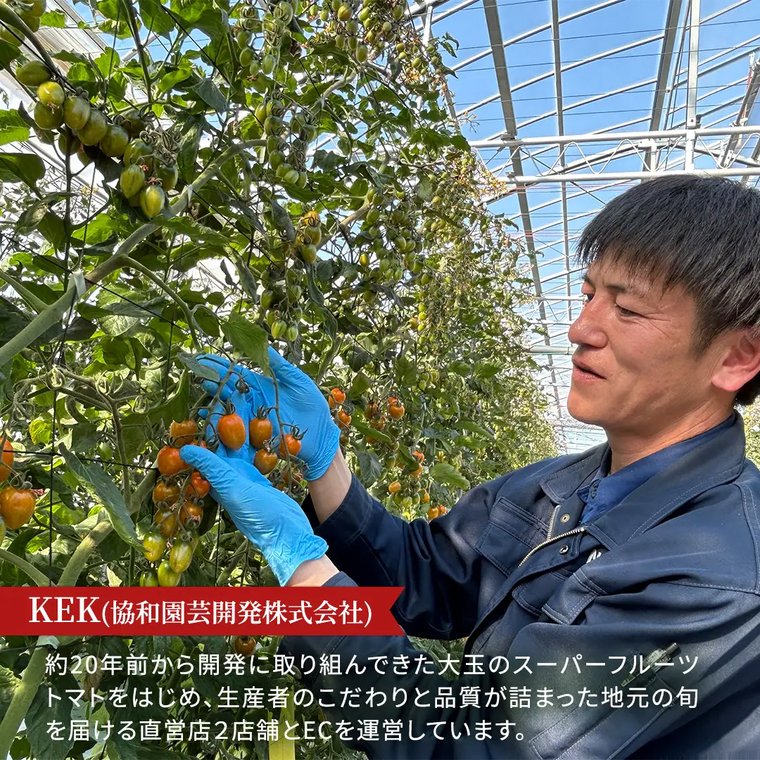 《 2027年 収穫分 》 スーパーフルーツミニトマト 約1kg 先行予約 ミニトマト フルーツトマト ブランドトマト 野菜 ギフト 贈答 [BC070sa]
