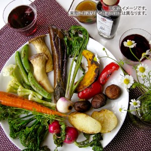 野菜たまごBOX『L』すべて北杜市産 [h208]