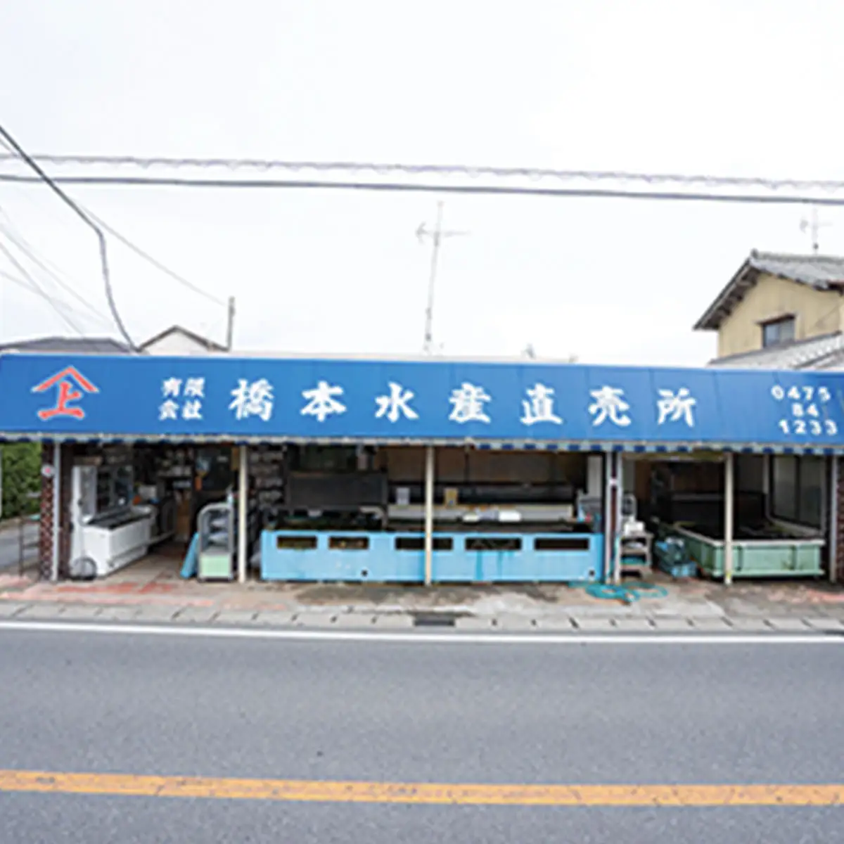 千葉県九十九里産はまぐり1.3kg SMAR001 千葉県 山武市 はまぐり ハマグリ 蛤