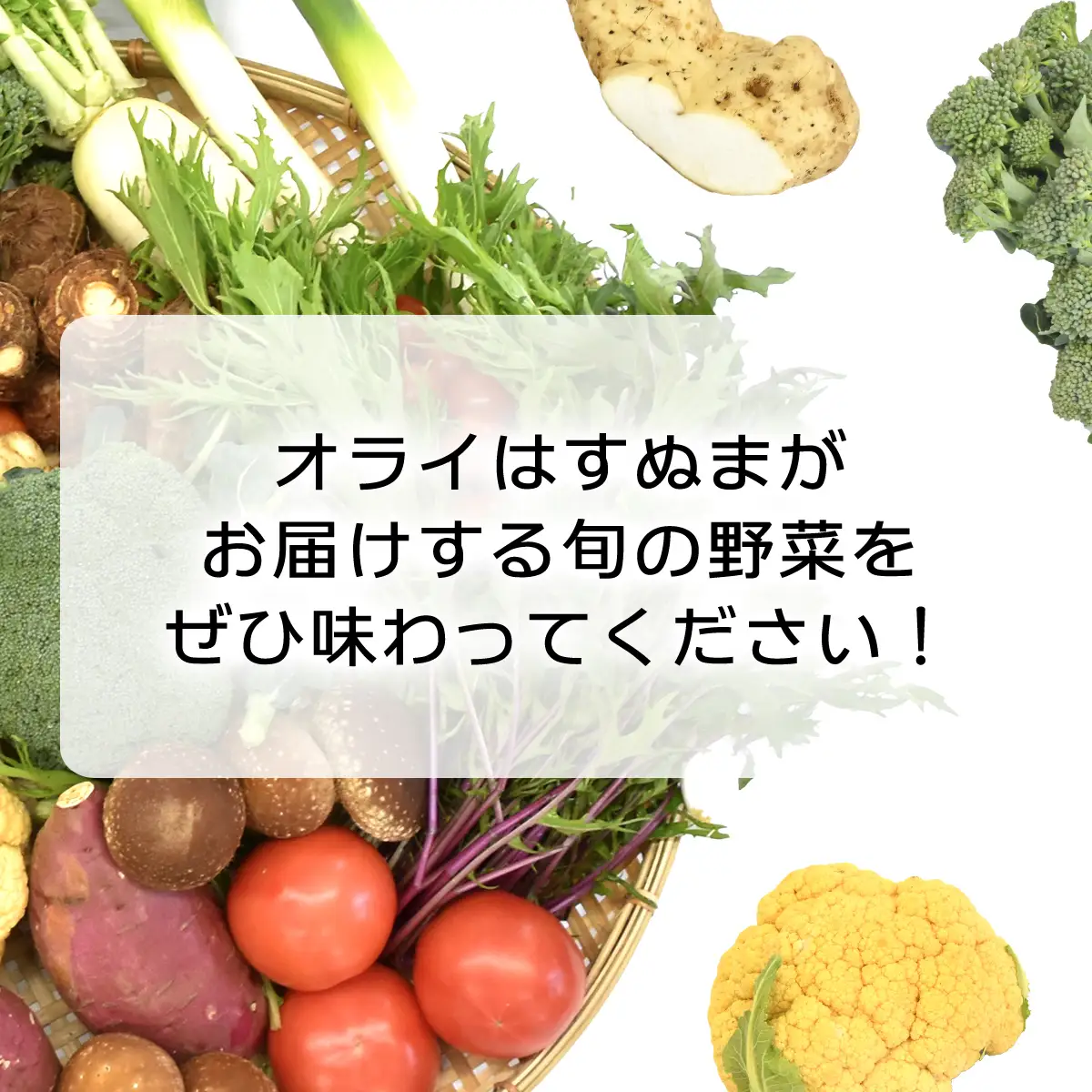 大地のたからばこセット（2箱） SMA001