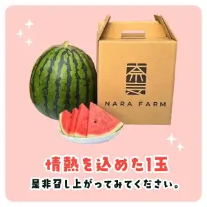 【先行予約】【2027年6月上旬から発送】レッドサンスイカ（約8kg～約9.8kg×1玉）【 ふるさと納税 人気 おすすめ ランキング レッドサン スイカ 西瓜 すいか 西瓜 果物 フルーツ 国産 産地直送 甘い 野菜 千葉県 山武市 送料無料 】SMAF001